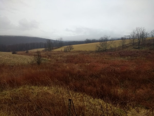 Colorful Brush and Fallow Fields