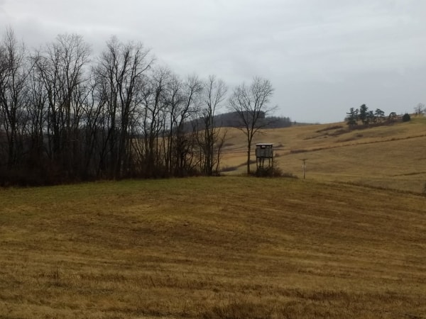 Hunting Stand in dormant hay field