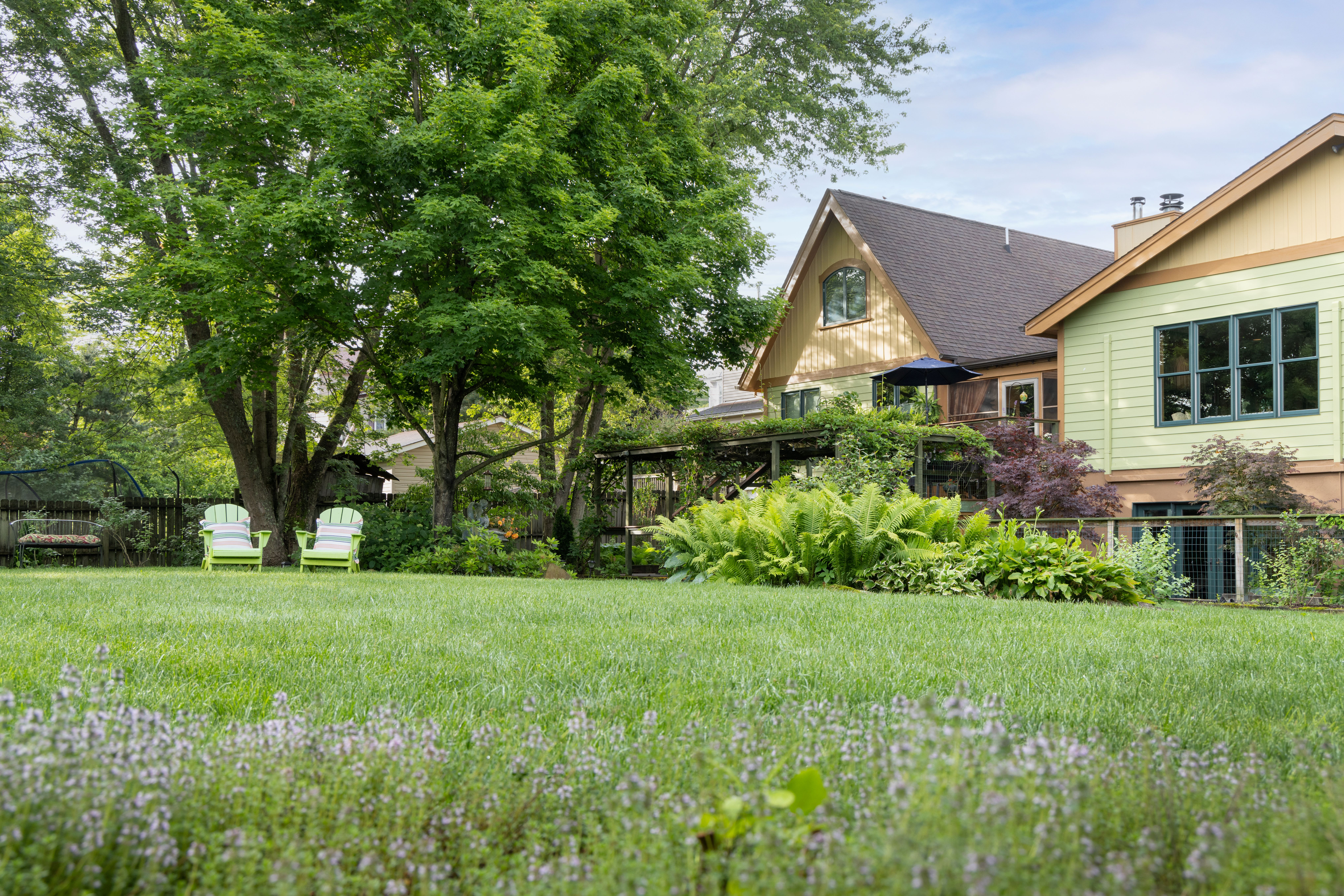 back of the house and garden