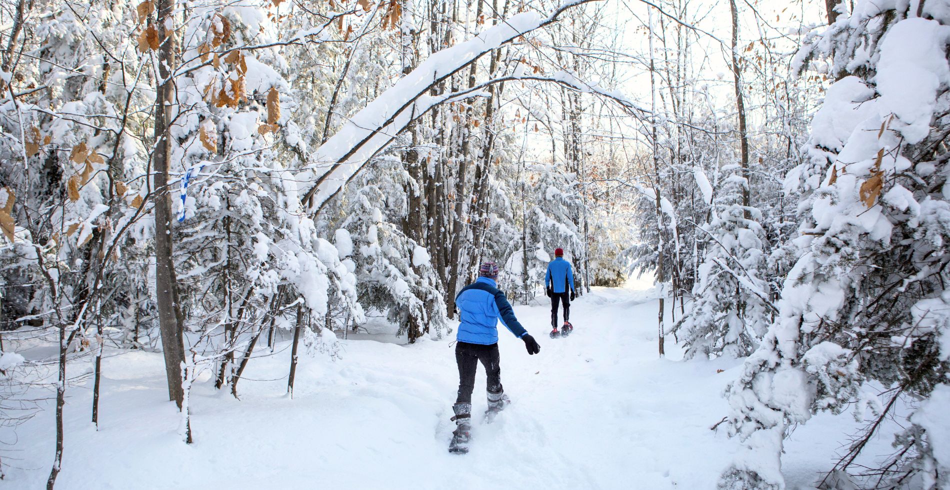 A couple going snowshoeing in the woods