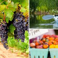 Collage of grapes on the vine, a woman kayaking, and produce at a farmers market
