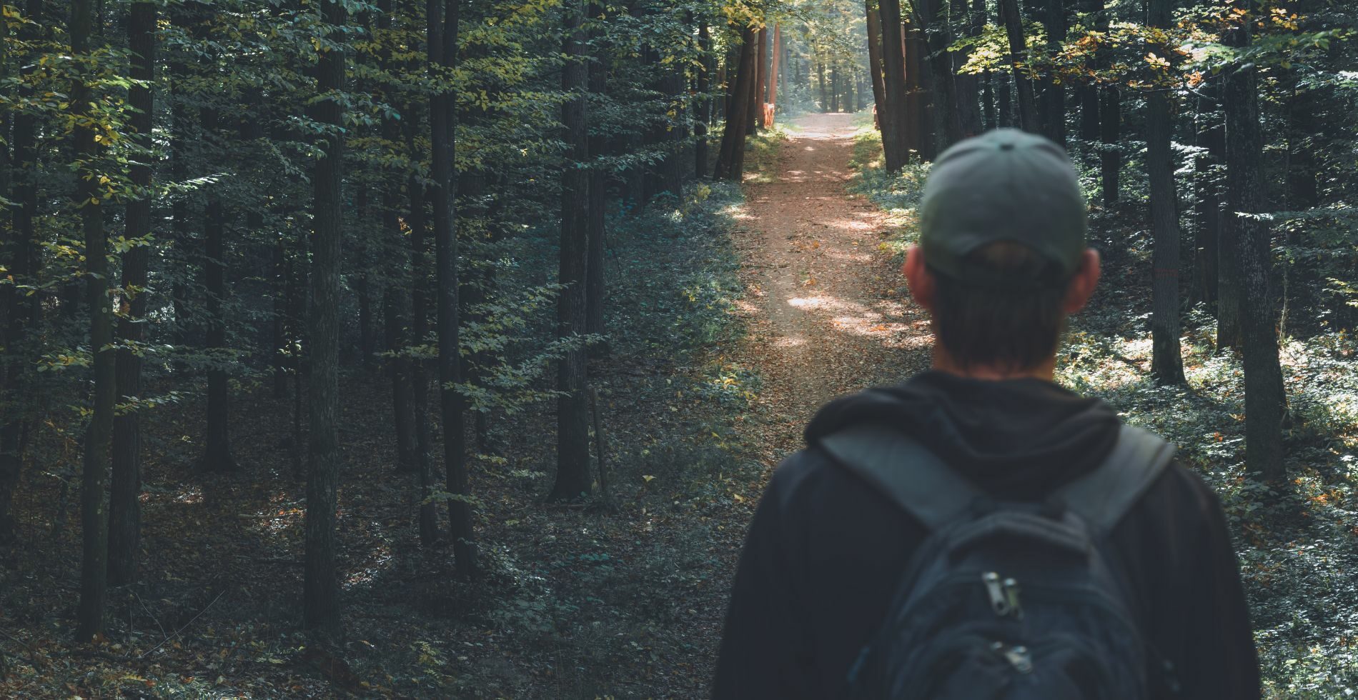 A man stands before a path in the woods on a hike