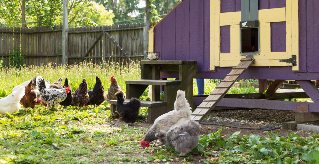 Find Our Bed and Breakfast Lodging near Ohiopyle PA & Deep Creek Lake MD