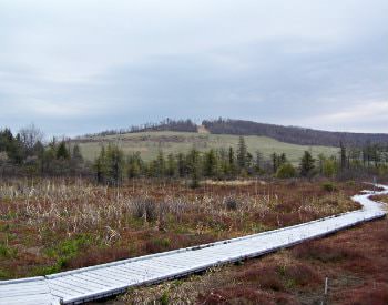 Rolling hill landscape from Cranesville Swamp Preserve, a white wooden plank path winding through the brush.